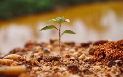 RDATN Grants, Tenders and Opportunities – 30 October 2022